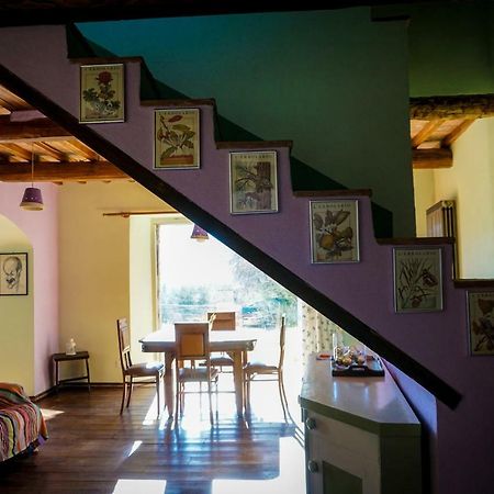La Casina Di Giannetto Pensionat Seggiano Exteriör bild