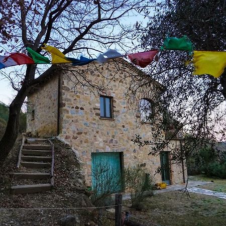La Casina Di Giannetto Pensionat Seggiano Exteriör bild